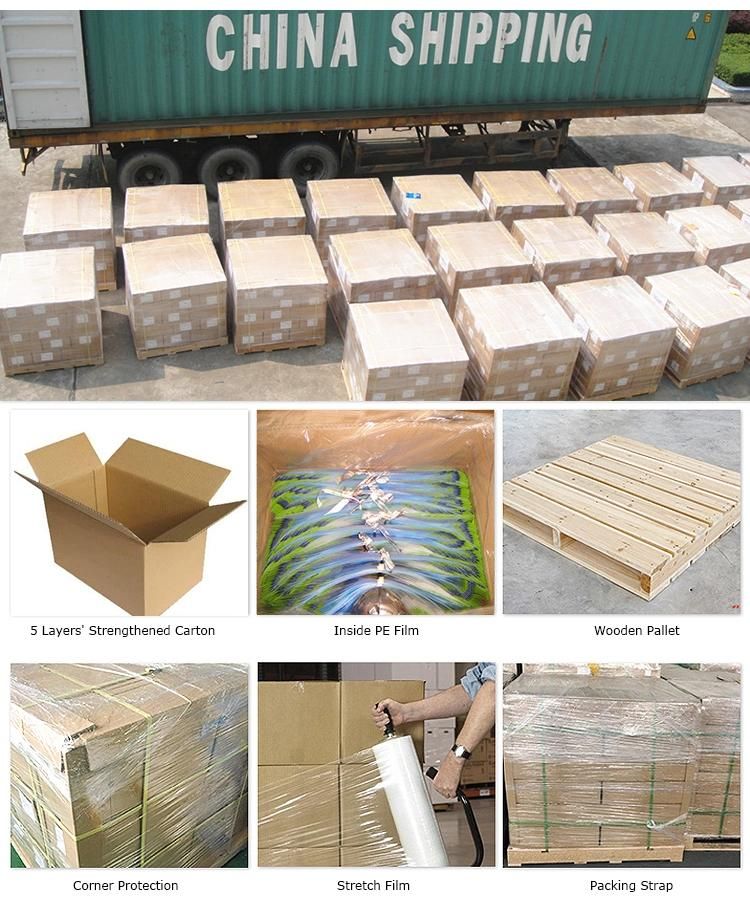 Plastic Zip Lock Stand up Bag Potato Starch Wholesale From China