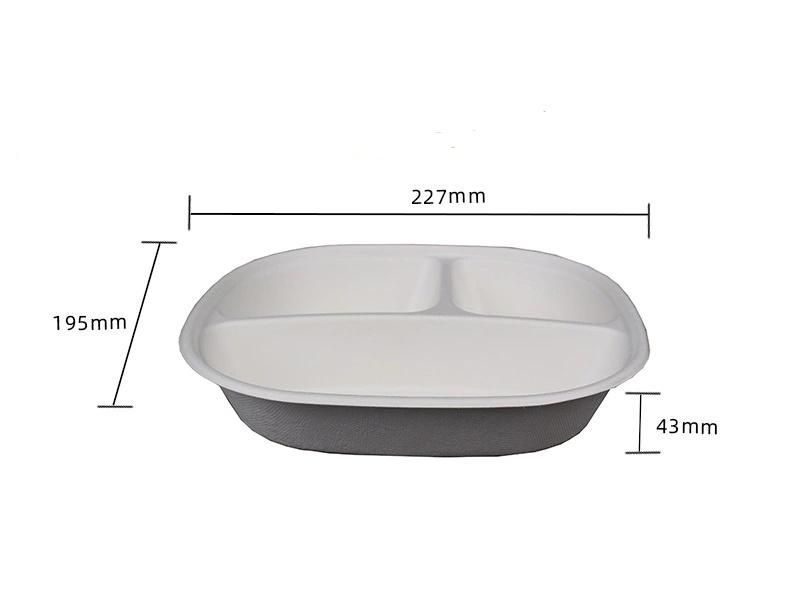 Supplying Biodegradable Food Container with Clear or Bagasse Lids