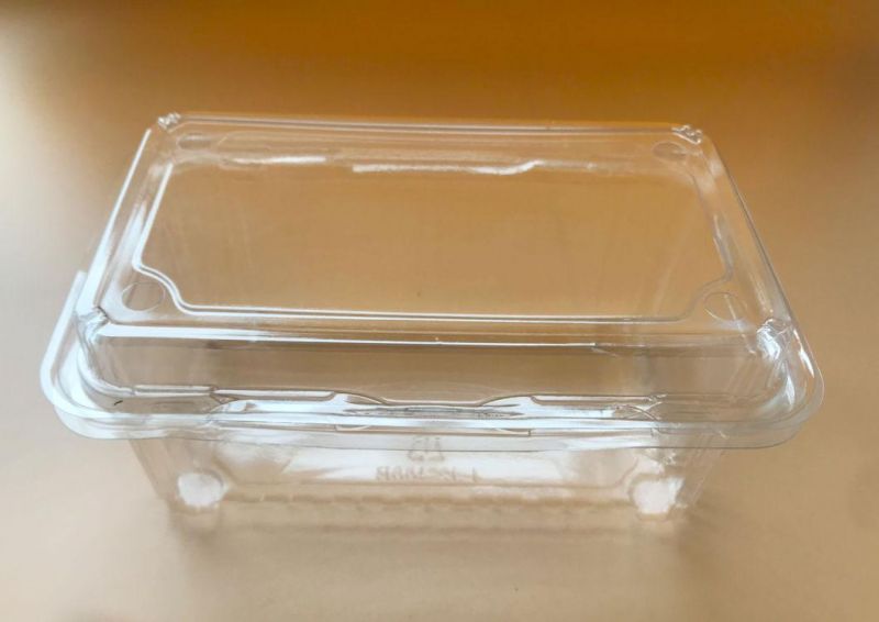 Clear Plastic PET Frozen Food Box Fresh Food Box Packaging Clamshell Potato