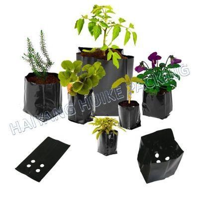 UV Stabilized Perforated Poly Bags for Nurseries Plants Garden Growing