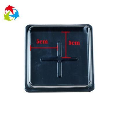 Hot Selling Square Mini Cake Clear Plastic Container with Lid