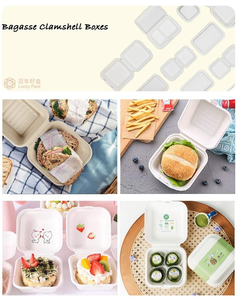 Biodegradable 6 Inch Bento Hand-Painted Cake Baking Box Burger Box