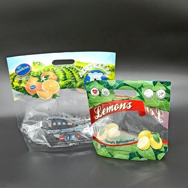 Plastic Laminated Salad Bag with Transparent Window