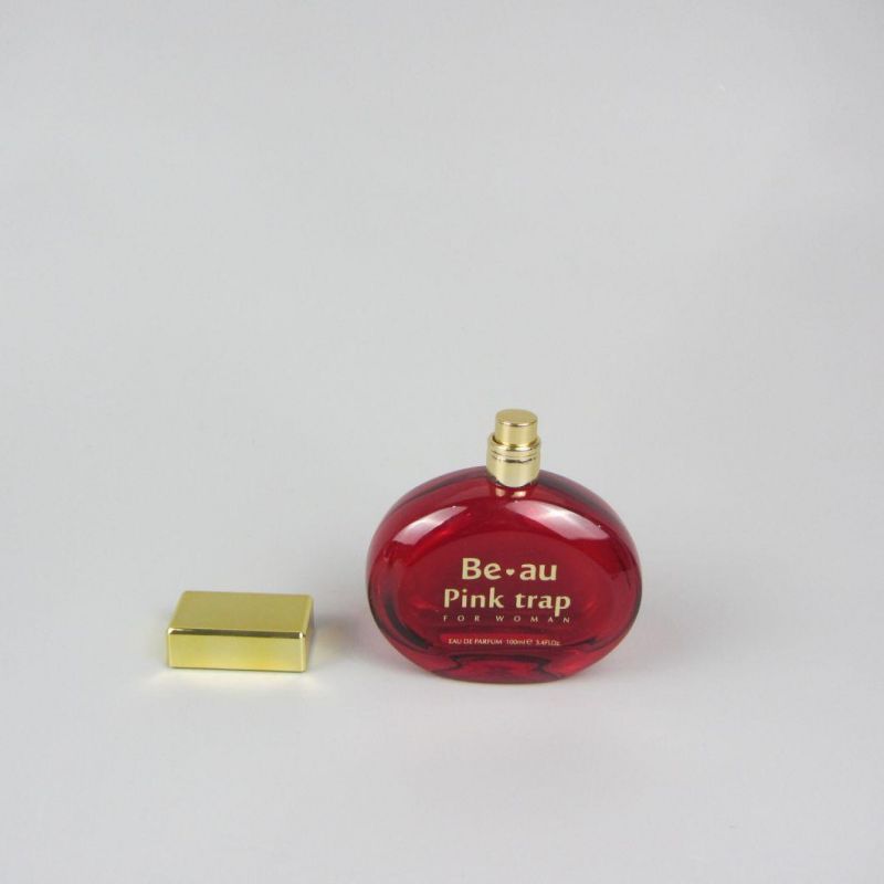 100ml Spray Empty Glass Perfume Bottle for Packaging