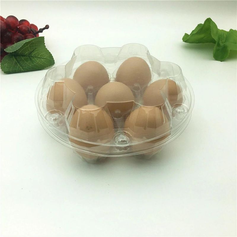 Pet Disposable Plastic Egg Tray Packaging