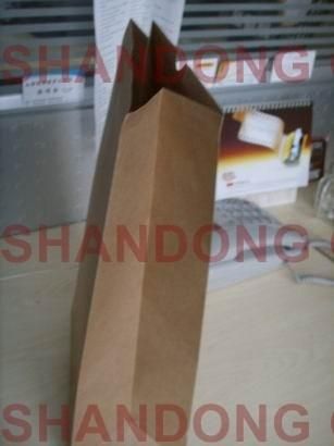 100% Eco-Friendly Art Paper/Cardboard with Custom Logo Printed Packaging Bag