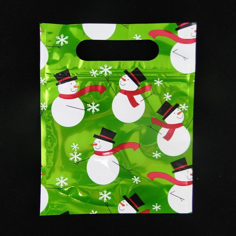 Customized Printed Plastic Handle Gift Bag Packaging Bag for Clothes