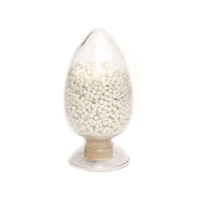 Biodegradable Compostable PLA Plastic Polyamide Raw Materials Resin in Pellets