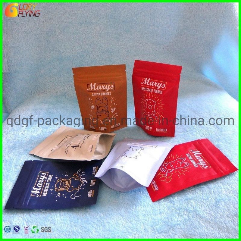 Stand up Food Packaging Plastic Packing Bag with Resealable Zipper