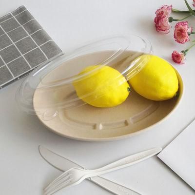 100% Environment-Friendly Biodegradable Plate Oval Bowl Sugarcane Bagasse