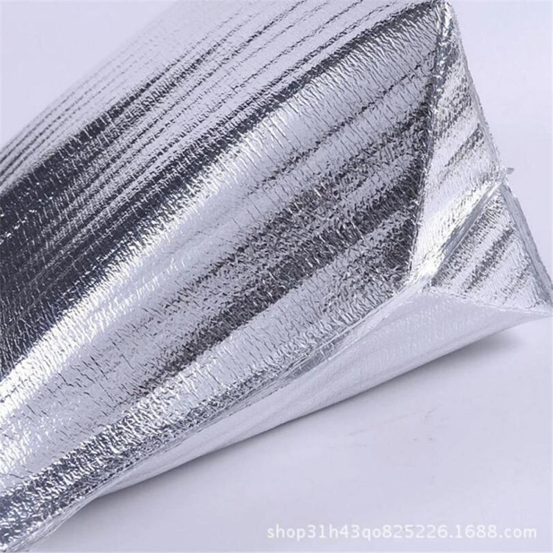 Aluminum Foil EPE Disposable Takeaway Pizza Fruit Fresh Insulation Bag