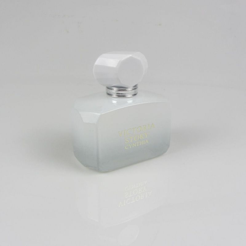 Empty Refill Glass Bottle Perfume Bottle 100ml with Packing