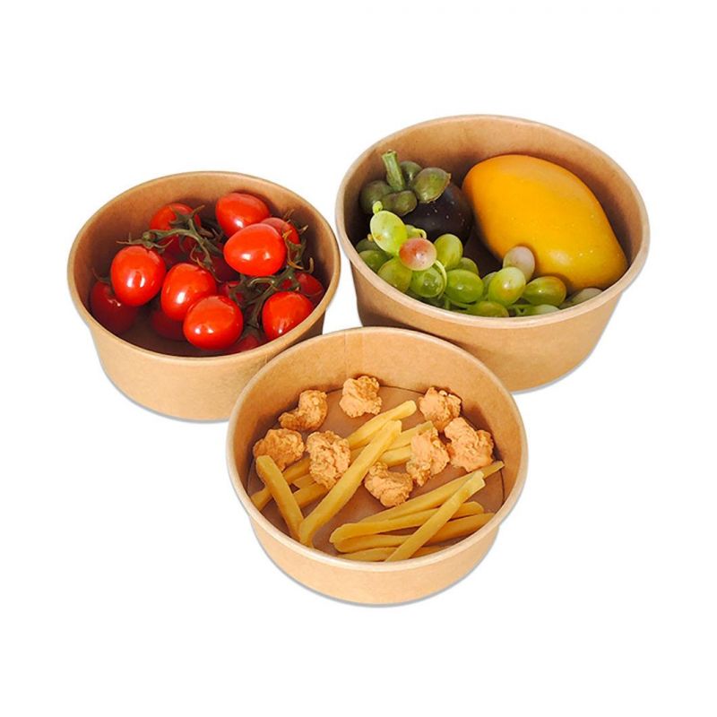 All Sizes Camping Use Paper Bowls with Lids Contain Various Food