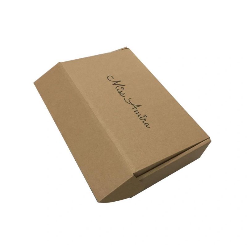 Custom Carton Packaging Box for Shipping