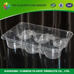 Clear Plastic Food Packaging Box 6 Compartment