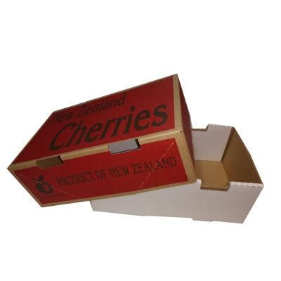 Custom Logo Six Corner Size Donut Cardboard Boxes