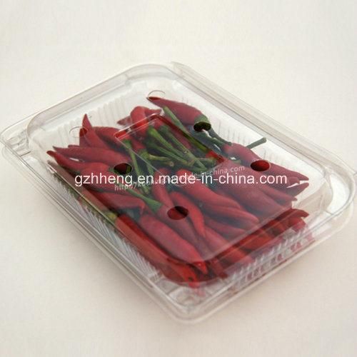 Eco-friendly Health Clear Plastic PET Blister Disposable Food Packaging Container Box for fruit