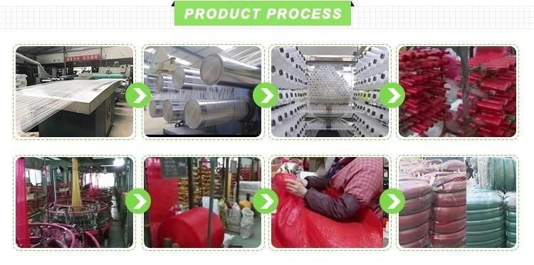 Vegetable Onion Potato Fruit Packaging Date Leno PP Mesh Bag