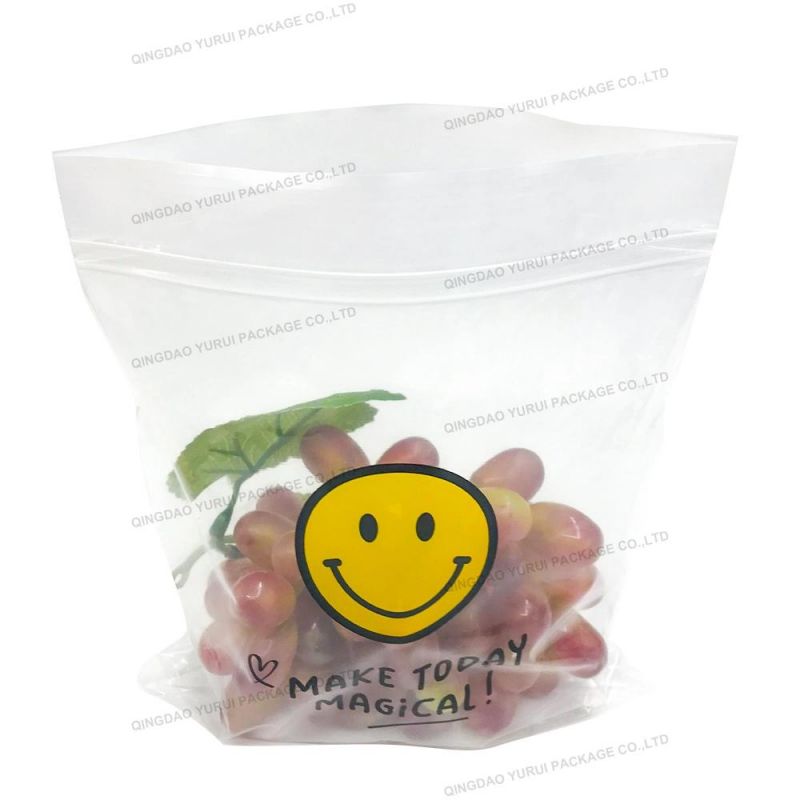 Clear Recyclable Biodegradable 8" X10" Ziplock Bags