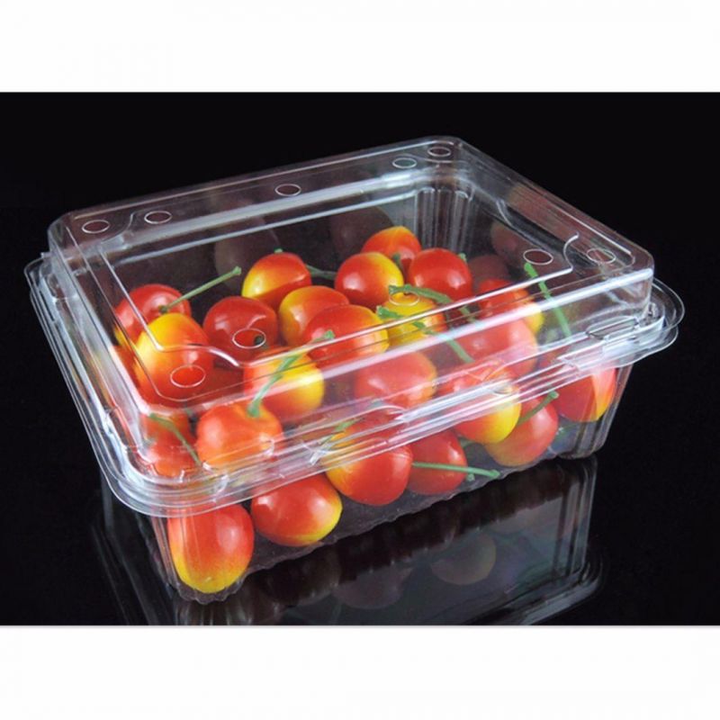 Healthy Clear Plastic Fruit Vegetable Food Box (PET container)