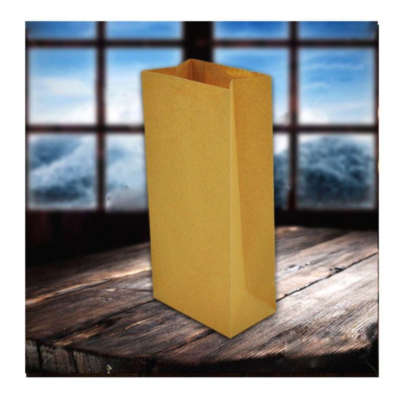 Food Packaging Bag Square Paper Bag for Fried Chicken Block/Compost Bag