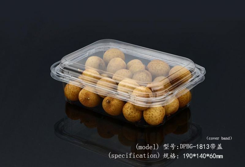 Supermarket Biodegradable Serving Tray Fruits Vegetable Storage with Dividers Cover Package Trays