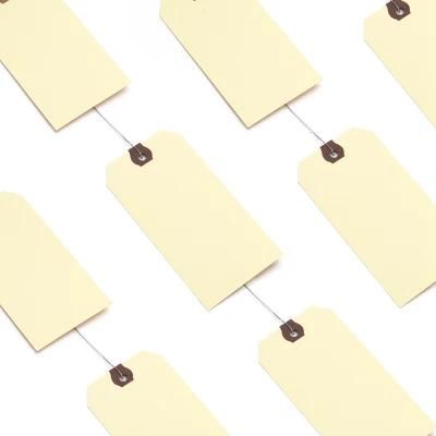 Wholesale Custom Printing Paper Shipping Tags with Wires (PT1206W-1)