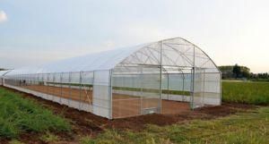 Factory Outlet Soilless Cultivation Indoor System