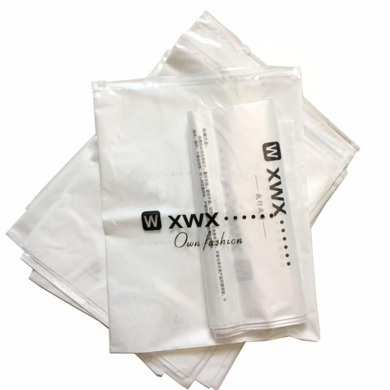 PE Plastic Zipper Bags for Clothing Packaging Bags Poly Bag OEM