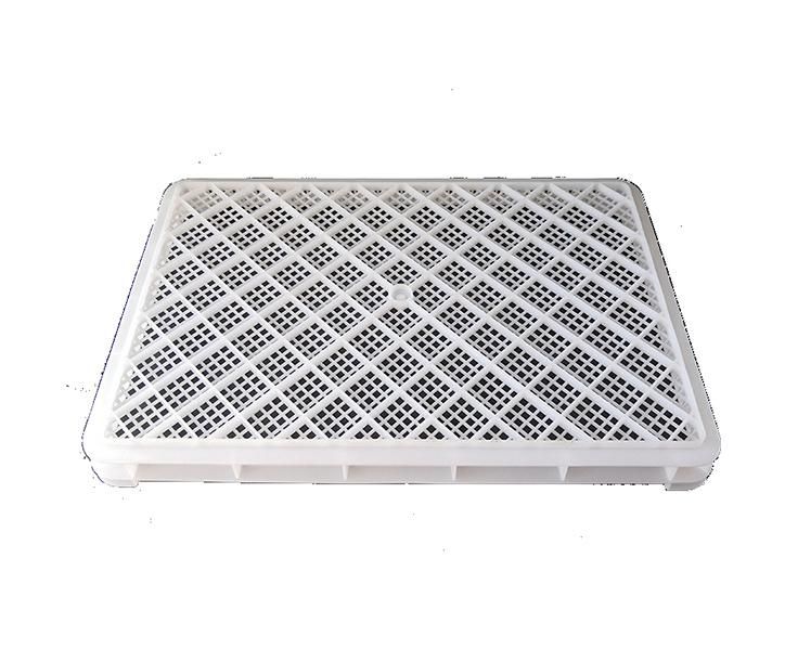 Food Grade Plastic Agricultural Tray for Drying for Food