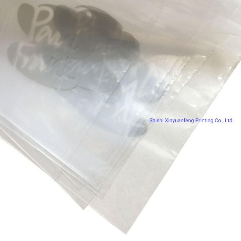 Customized Logo CPE Plastic Bags for Clothing Poly Bags Packaging Bags China
