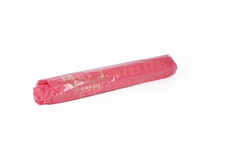 Space Saver Saving Roll up Travel Vacuum Compressed Bag