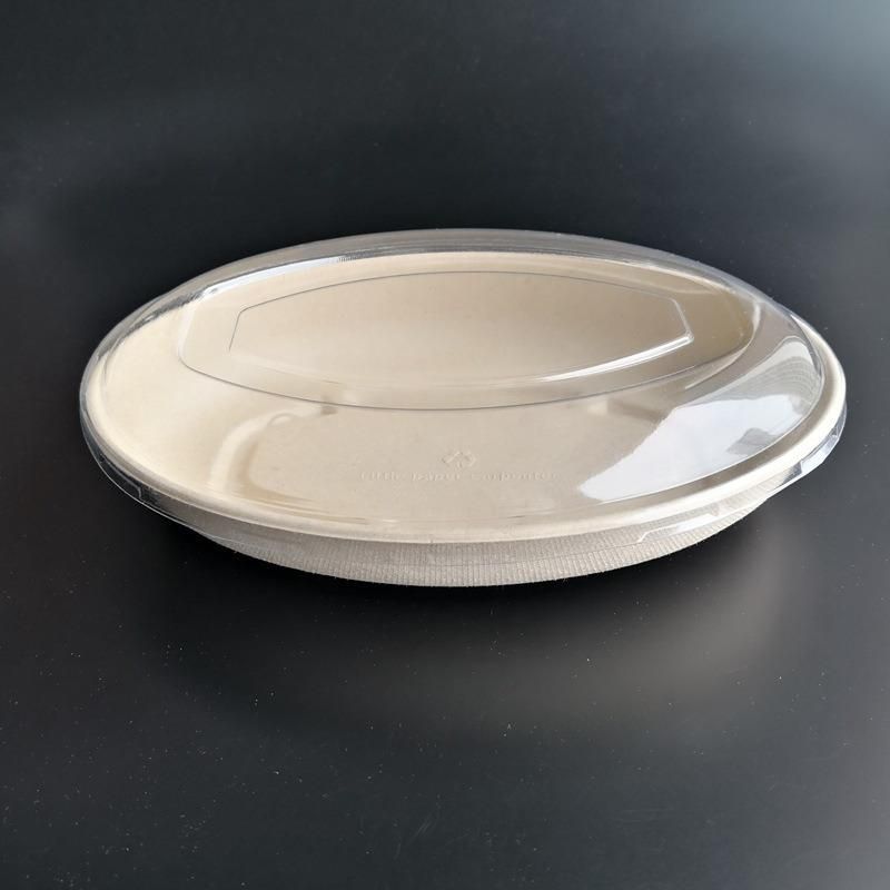 Tableware Biodegradable Bagasse Oval Food Grade Paper Take out Lunch Box