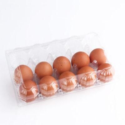 Disposable 6 Cells Transparent Blister Egg Tray