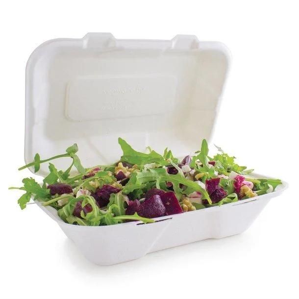 Biodegradable Tableware Sugarcane Bagasse 9*6inch Clamshell Paper Pulp Packaging Lunch Box