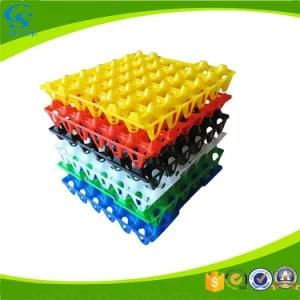 30 Cavities PE Plastic Recycled Egg Tray