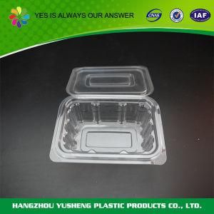 Food Packaging Plastic Clear Biscuit Box