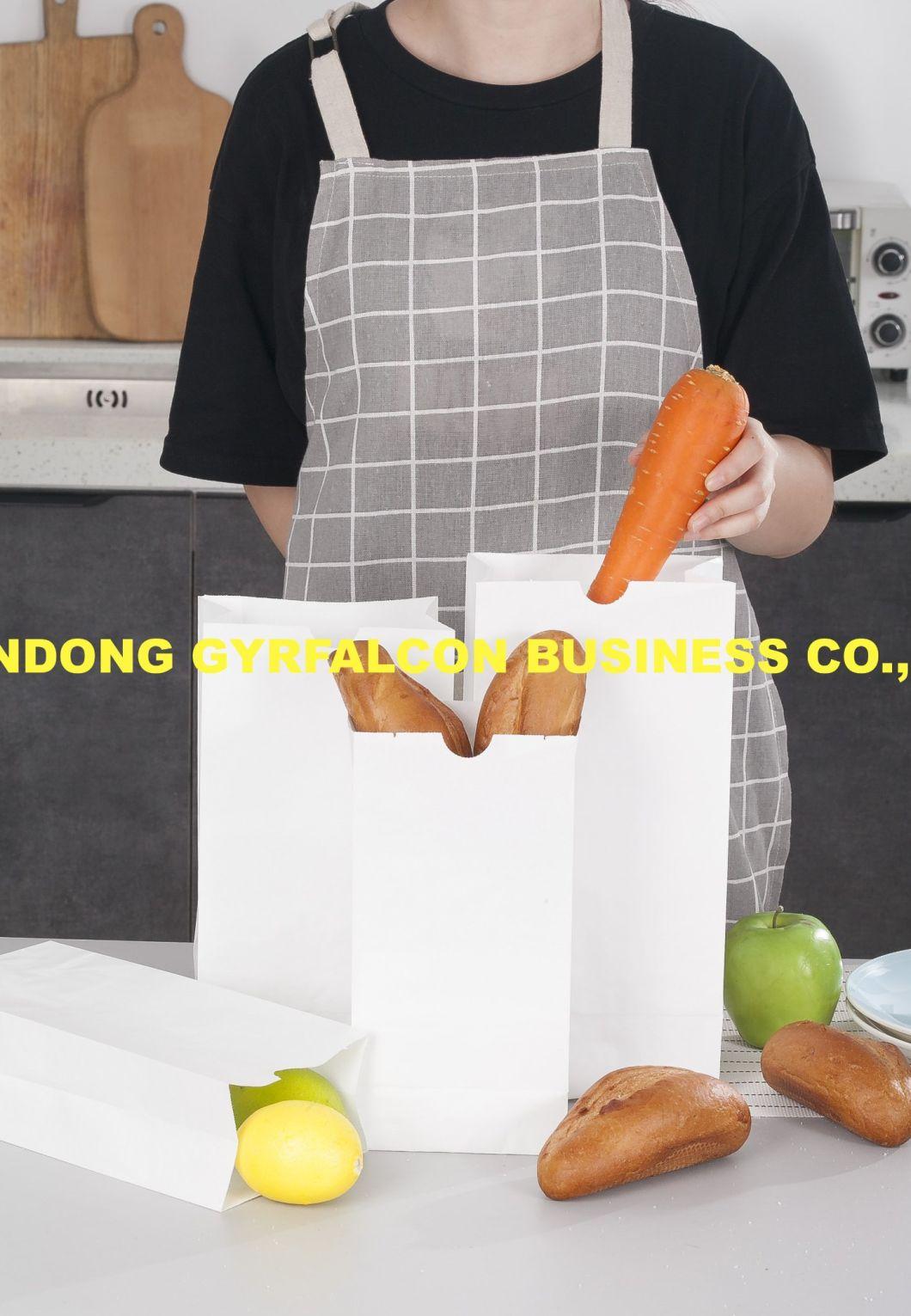 OEM Service Biodegradable Colorful/White Kraft Paper Bag