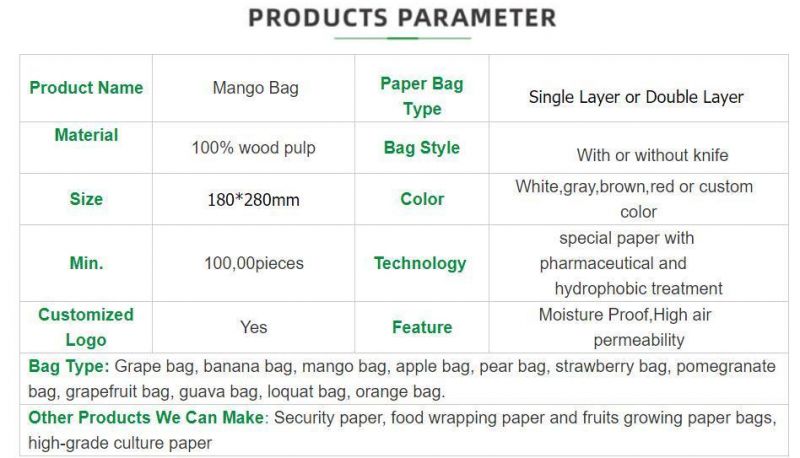 China Manufacturer Fruit Pomegranate Protection Bag/Mango Fruit Protection Bag