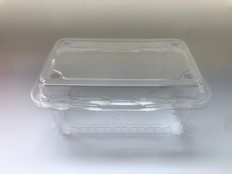 High  quality  disposable food grade fruit blister packaging  plastic clamshell