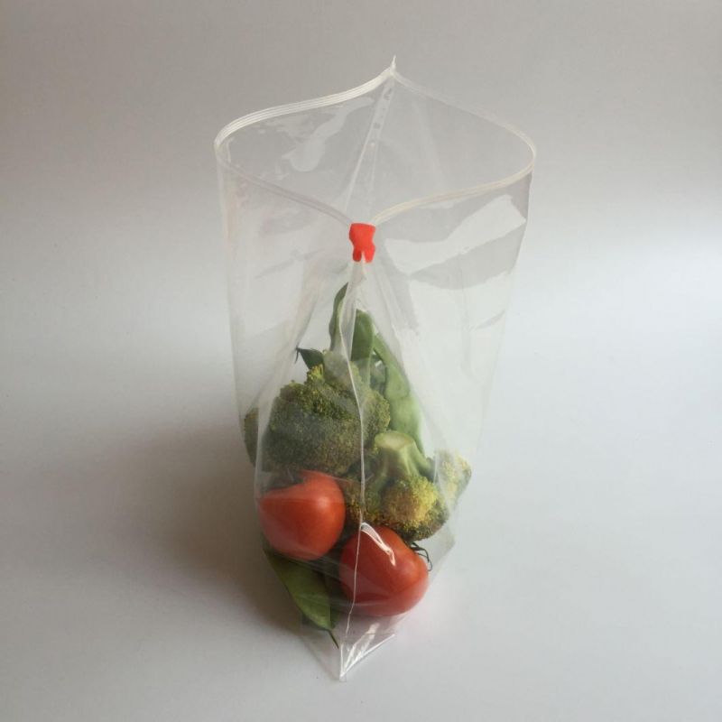 Fresh Keeping Food Freezer Slider Top Reclosable Bag for Vegetables