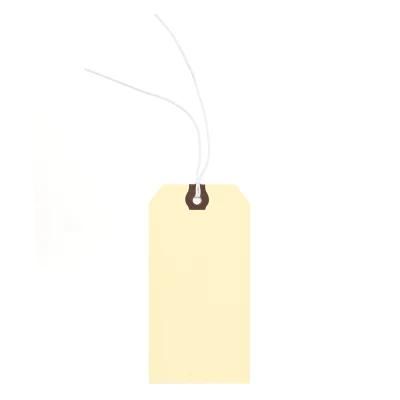 Custom Blank Shipping Paper Tags with String (PT1206-2)