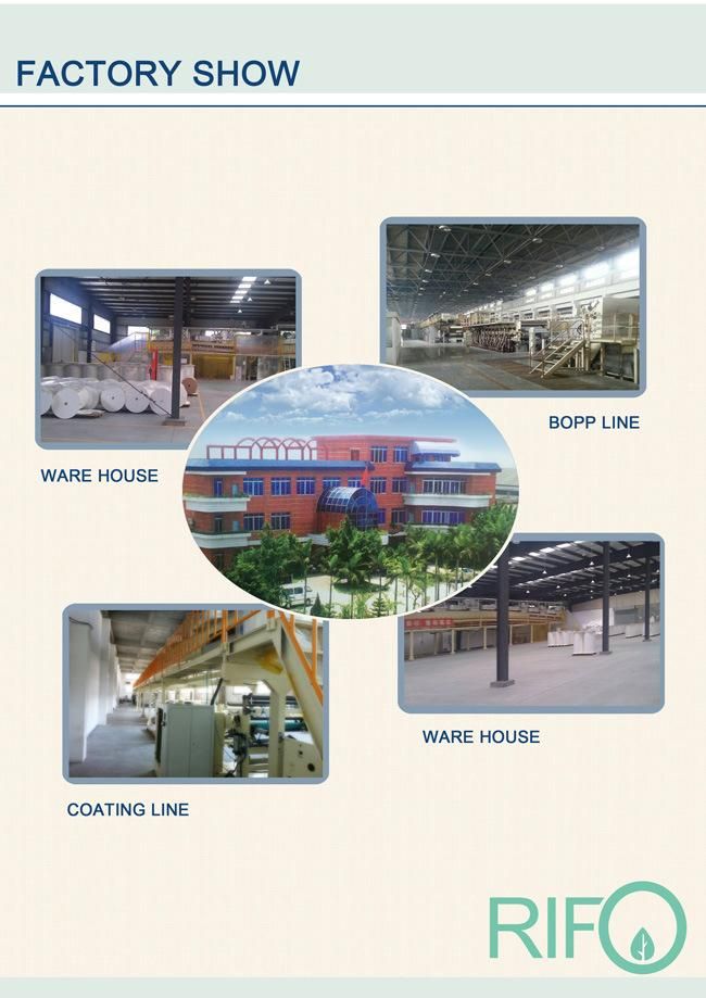 HP Printing Paper for Business Use Injket Machine