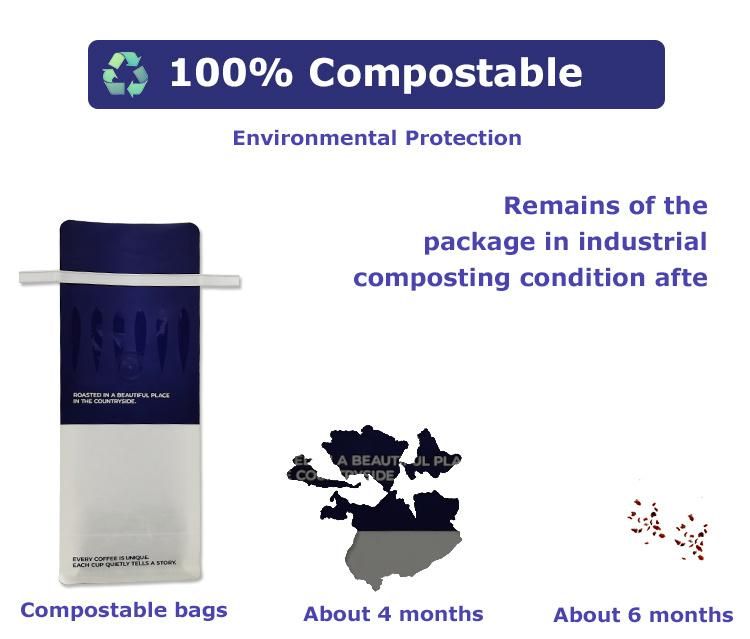 Wholesale Custom Kraft Paper Biodegradable Coffee Bag