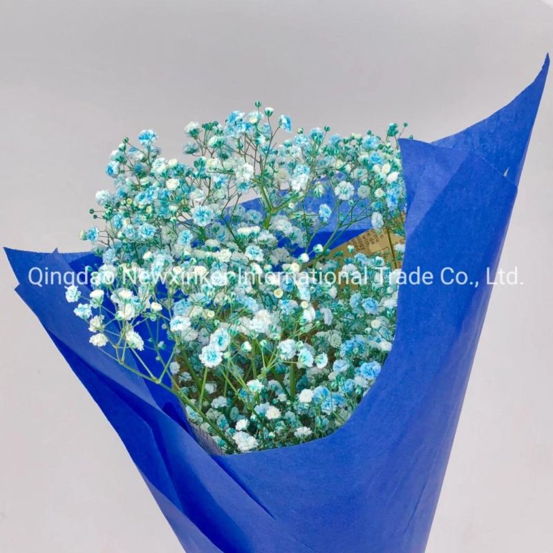 Gift Wrapping Transparent Coloured Glassine Paper for Luxury Package