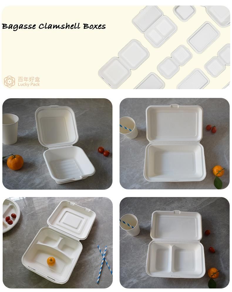 Biodegradable Disposable Compostable Eco Friendly Sugarcane Bagasse Food Container