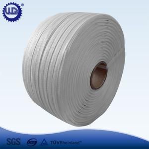 Hand Use Polyester Corded Woven Strap Supplier From Dongguan China