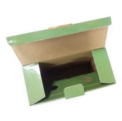 Fresh Olive Green Carton Cardboard Box for Olive Oil Packing