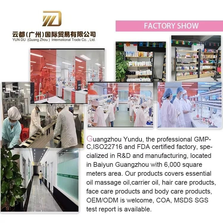 Custom Private Label Empty Plastic White Tube Cosmetic Containers
