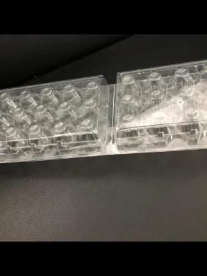 Plastic Quail Split Egg Box Bi-Fold Pet Split Quail Carton